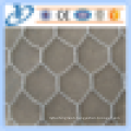 chicken wire mesh Hot dipped galvanized hexagonal wire mesh